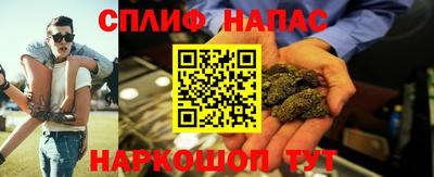 шишки Лесосибирск
