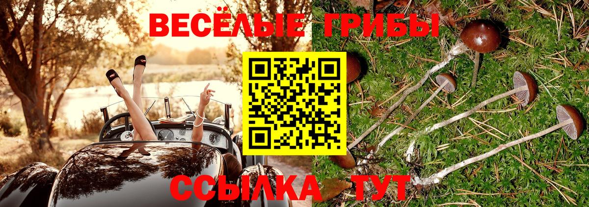 Черкесск  где найти   Вход с VPN  Галлюциногенные грибы GOLDEN TEACHER 